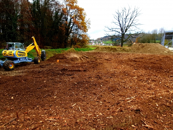 20201215_081915.jpg